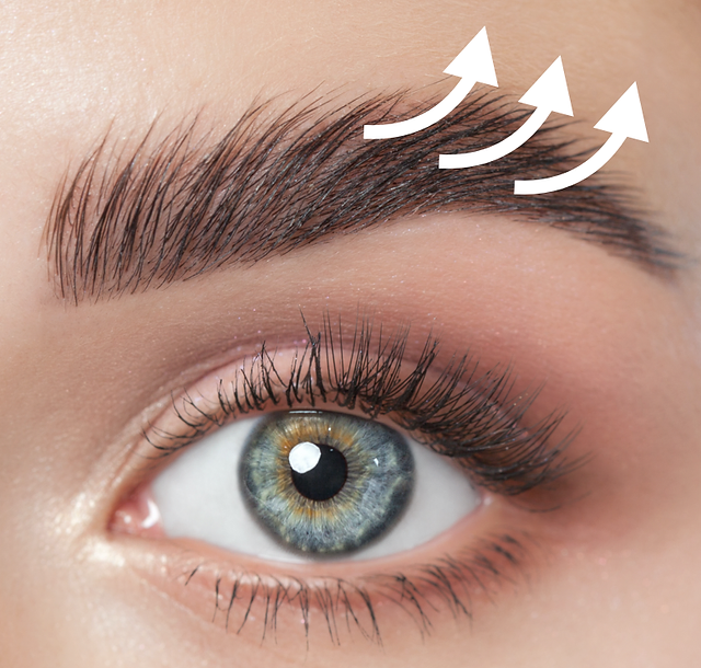 Beauty-Residenz Paderborn Augenbrauenlifting